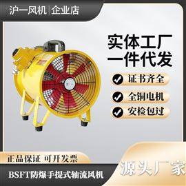 BSFT防爆轴流风机 手提式鼓风机 便携式抽送风机