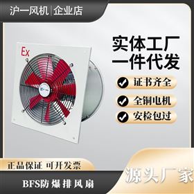 沪一排风扇 BFAG防爆轴流风机通风换气扇